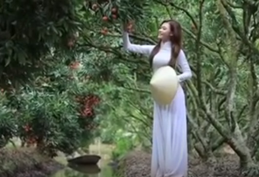 Mùa vải Thanh Hà 2021