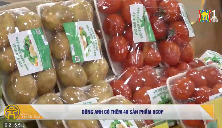 Phân hạng đánh giá sản phẩm OCOP trên địa bàn huyện Đông Anh năm 2022