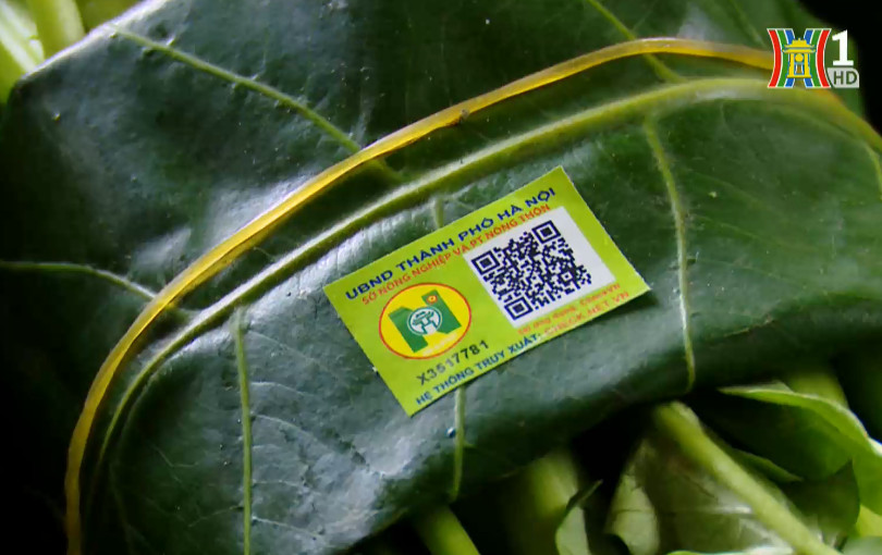 Mỗi xã một sản phẩm: Phầm mềm CheckVN- Bảo vệ thương hiệu và minh bạch thông tin cho sản phẩm nông nghiệp Thủ đô