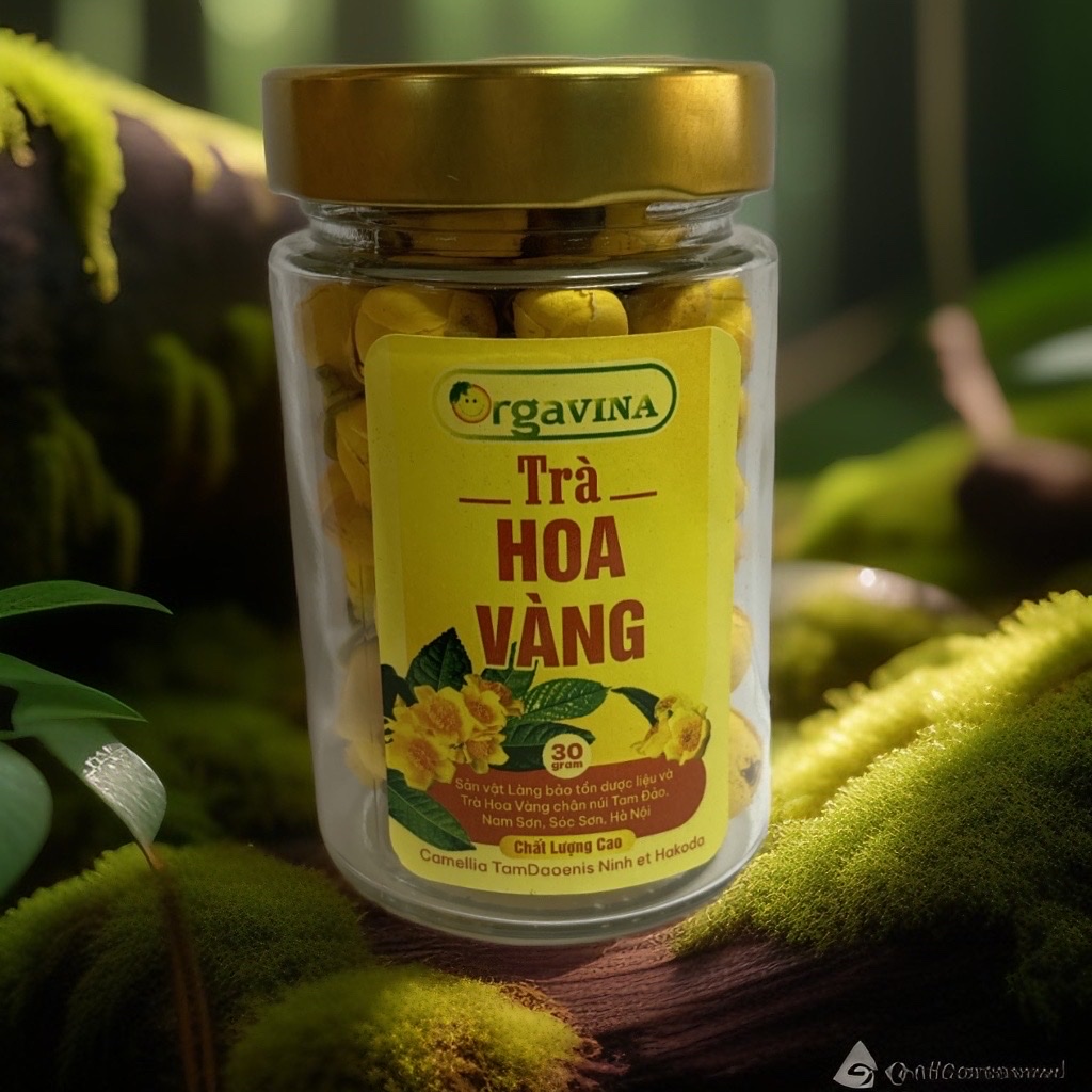 Trà hoa vàng Hakodae Orgavina 30g